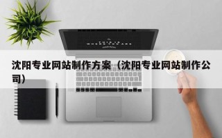 澧县沈阳专业网站制作方案（沈阳专业网站制作公司）